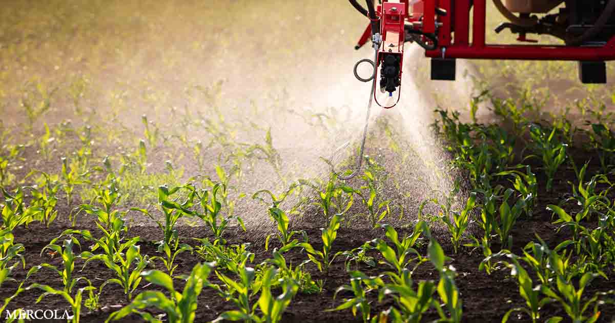 how pesticides disrupt gut health fb