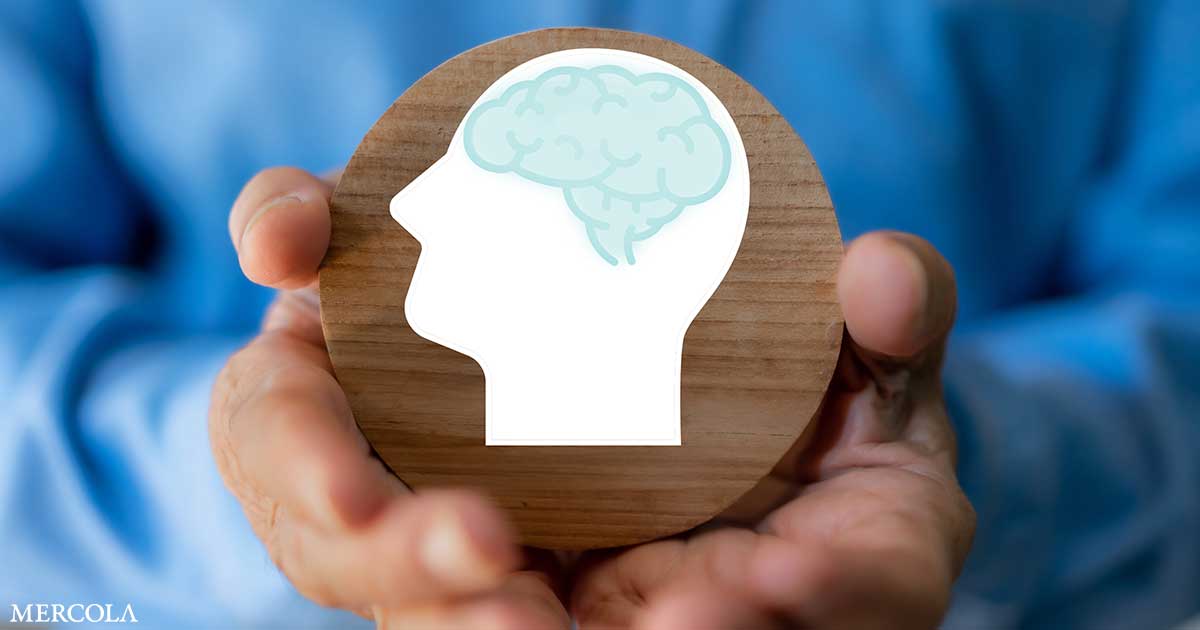 prebiotics gut microbiome boost brain gaba fb