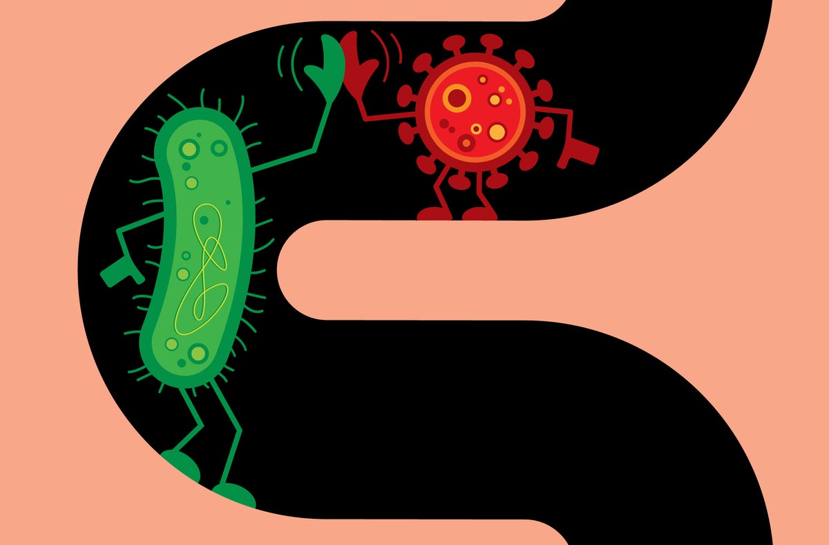 saw1125 Gutvirus