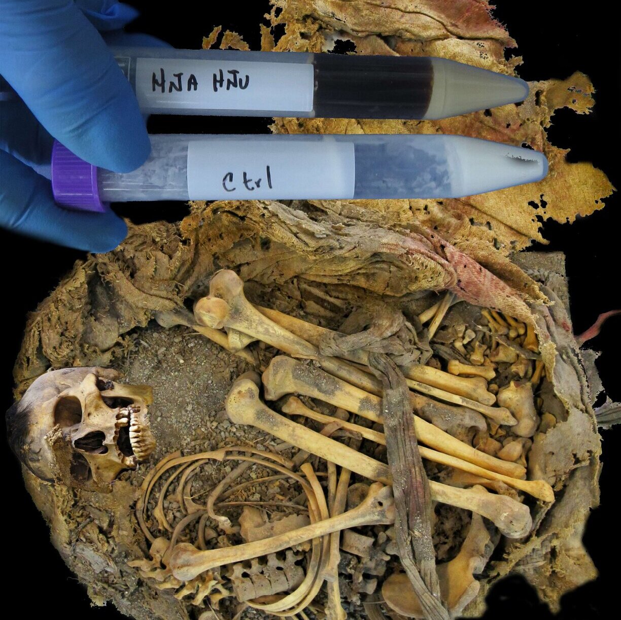 1000 year old gut micr