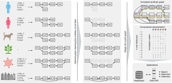 41586 2025 9603 Fig1 HTML