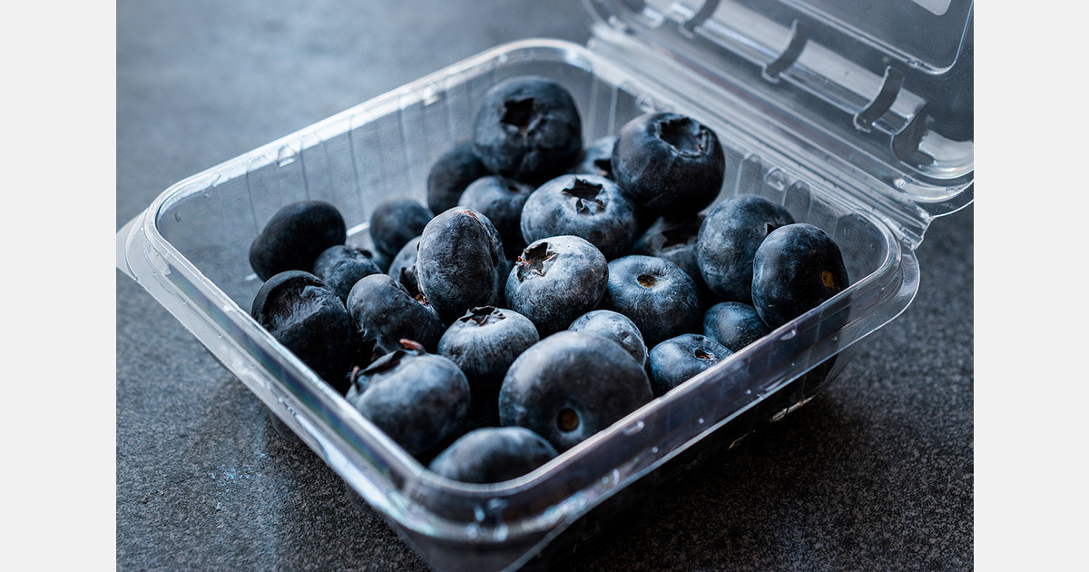 BlueBerrie FP img 0022