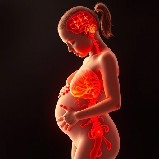 Gestational Saccharin Disrupts Gut Brain Glucose Control in Offspring