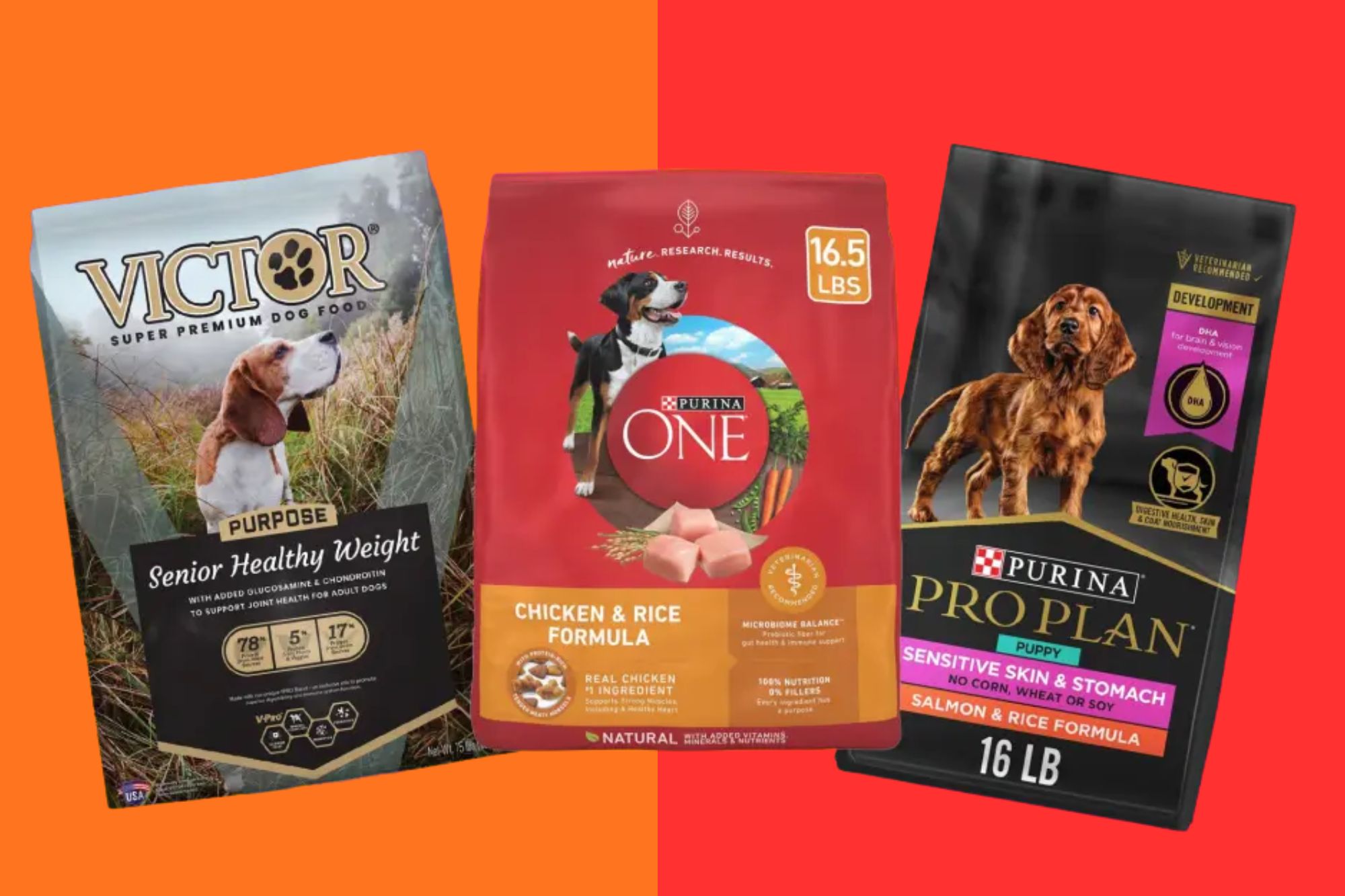 wp content2Fuploads2Fsites2F22F20242F062FHow to Choose Best Dog Food
