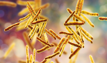 0a47038193f2a00f1498c3b75ea90aff462263c1 640x380 1