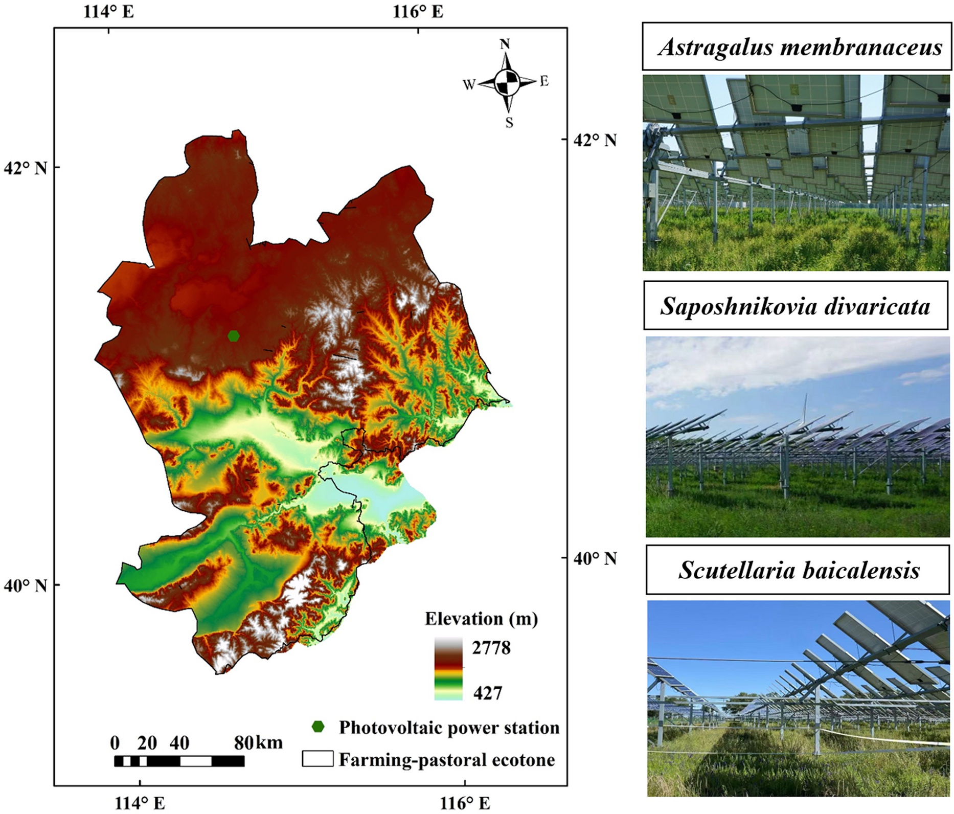 11104 2025 7981 Fig1 HTML