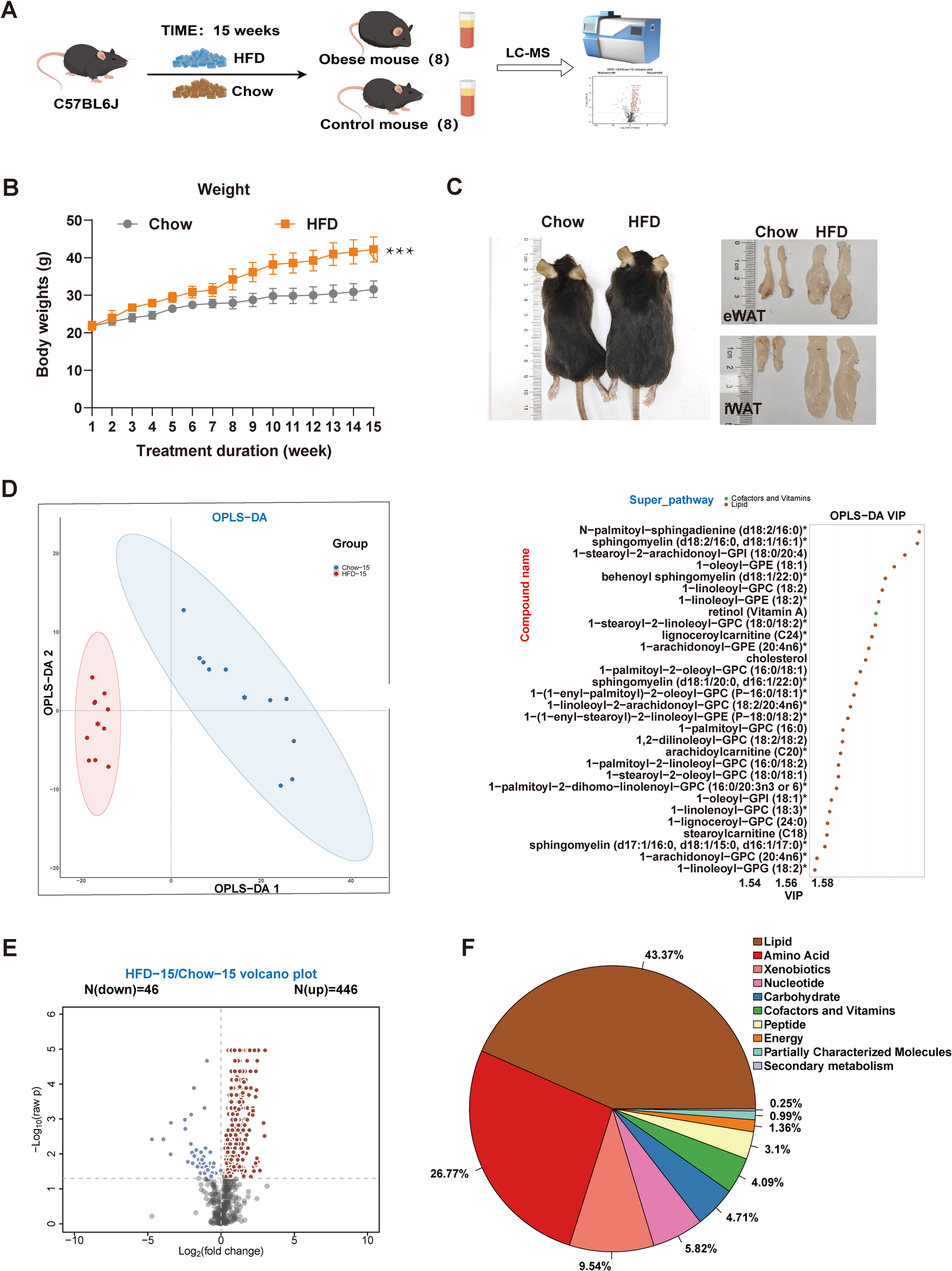 12944 2025 2768 Fig1 HTML 1