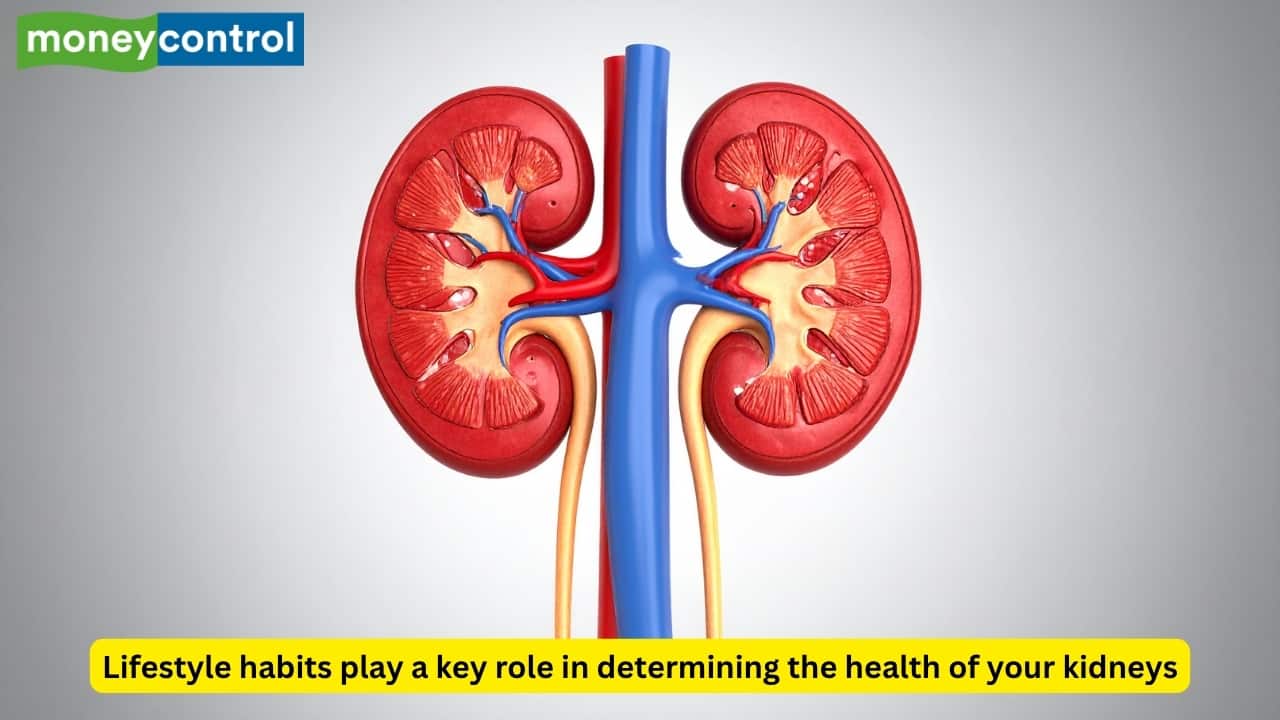 Nephrologist suggests 5 healthy habits to keep your kidneys healthy 1 20251114073255 c