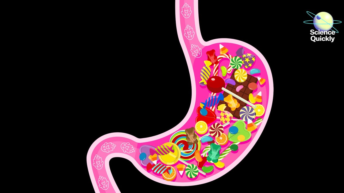 A Gastroenterologists Guide to a Healthy Halloween - Scientific American 5 2510 SQ FRI HALLOWEEN CANDY Podcast Span Art