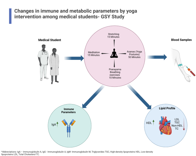 An exploratory study on the changes in immune and metabolic parameters by 10 weeks of yoga intervention among medical students - Nature 5 41598 2025 22421 Fig1 HTML