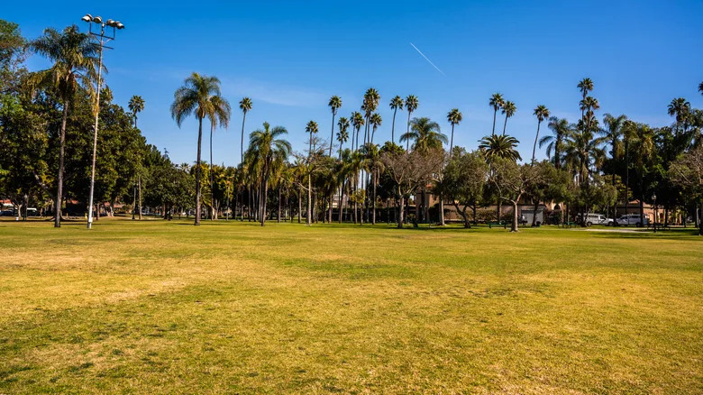 4a2e2032a08e1cc4c4be80b83eea8daf