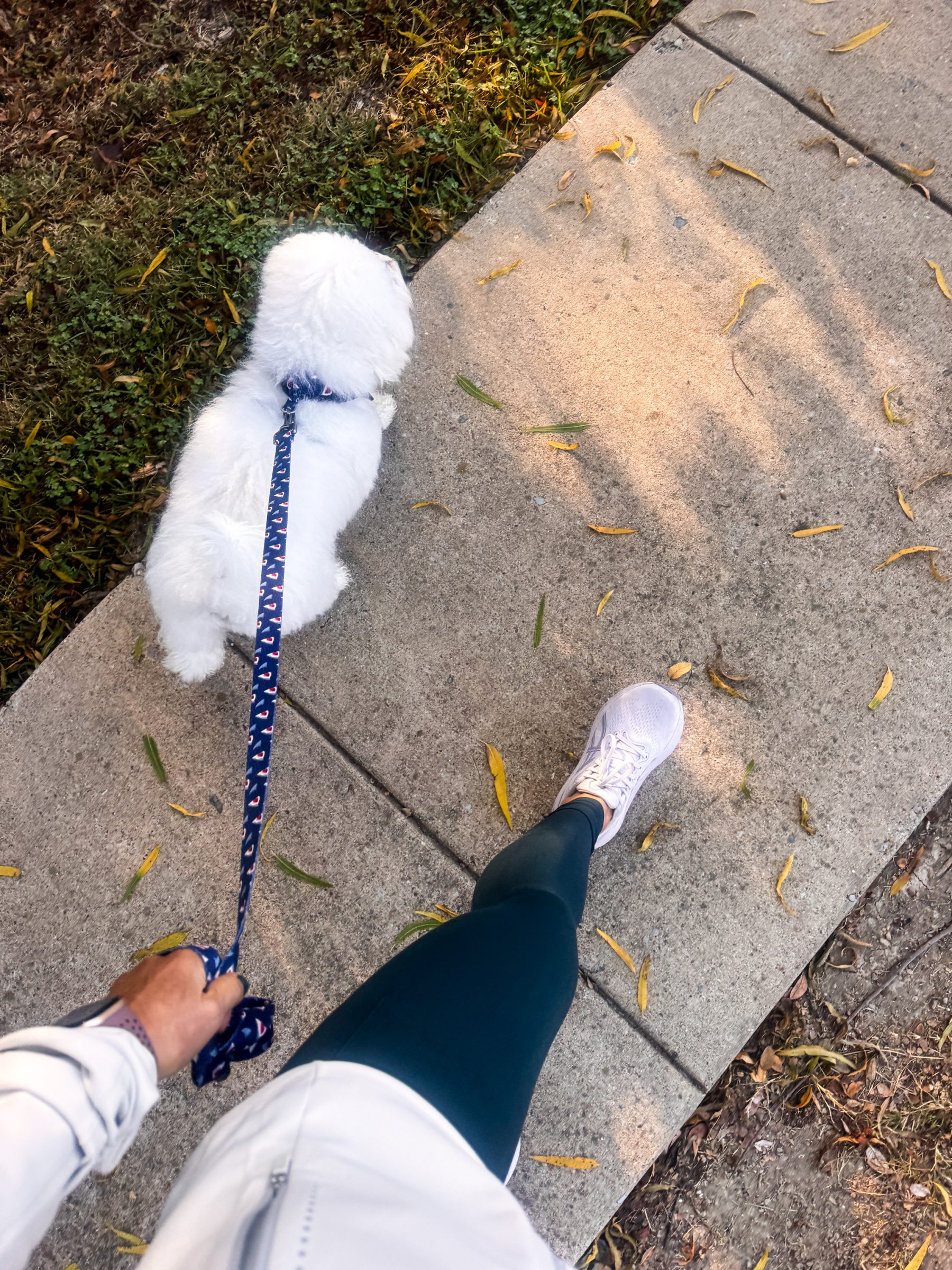 Healthy Holiday Checklist: 2025 Edition 1 IMG 7523 1