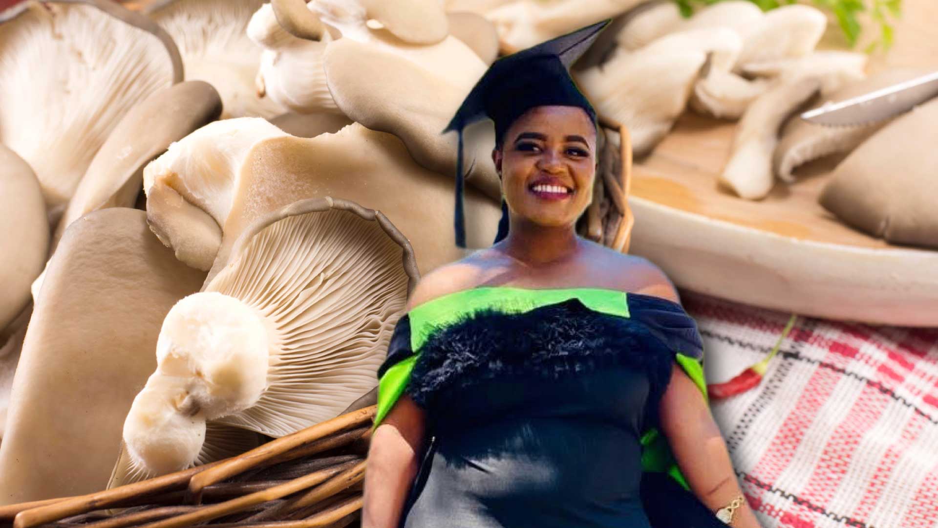 MSc graduate turns mushroom waste into poultry gold 2 Mushrooms 1