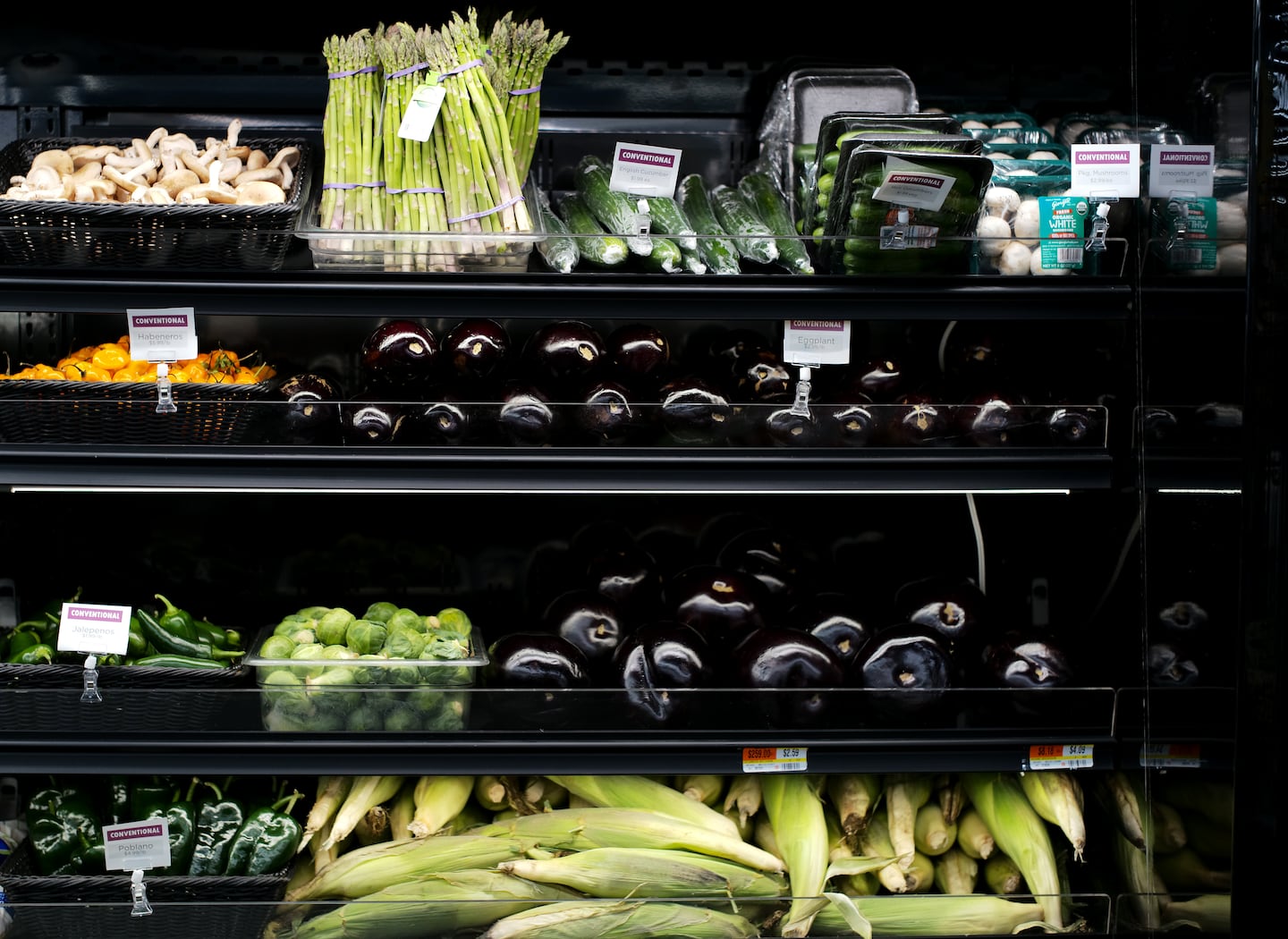 P2SA6RG6WKIGERKEOIFJXY4WRQ