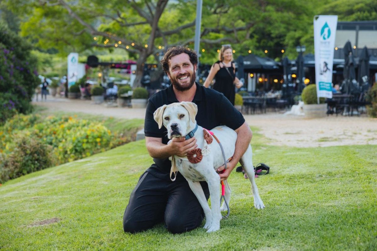 Cape Towns fashion scene heats up with sustainable styles and rescue dogs 1 Re Loved.jpeg.optimal