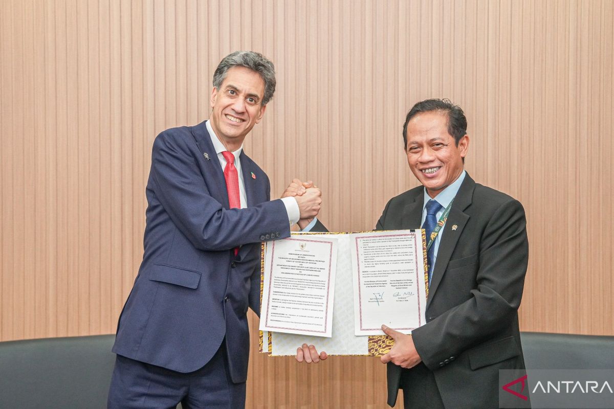 WhatsApp Image 2025 11 08 at 04.23.29 7d337831