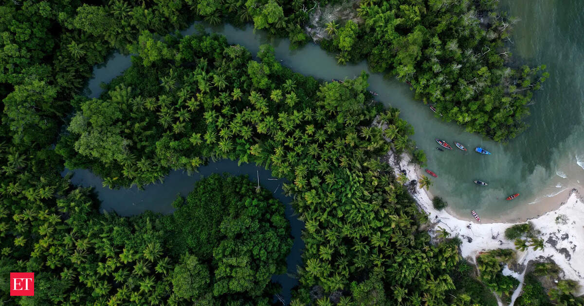 India joins Brazil-led forest preservation initiative as observer at leaders climate summit 5 articleshow 14