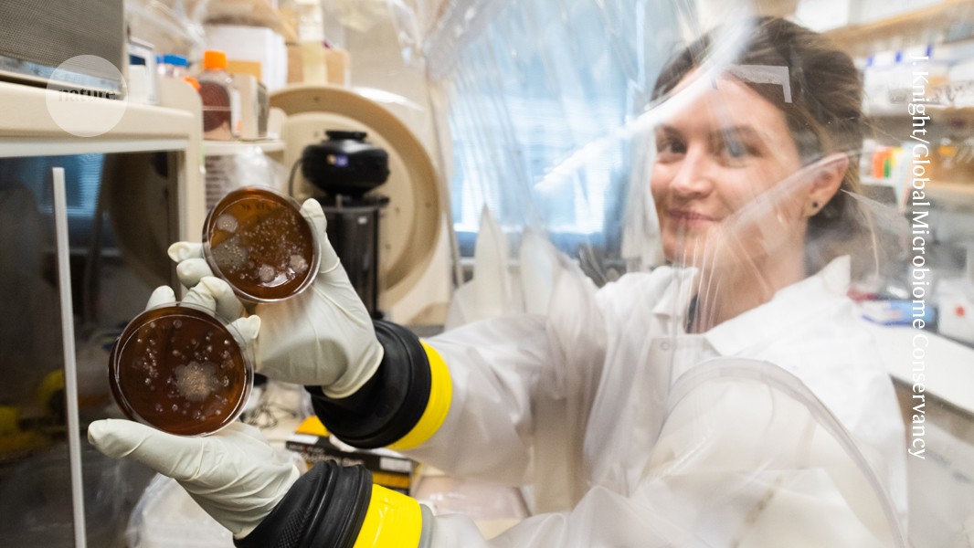 d41586 025 03350 8 51725416