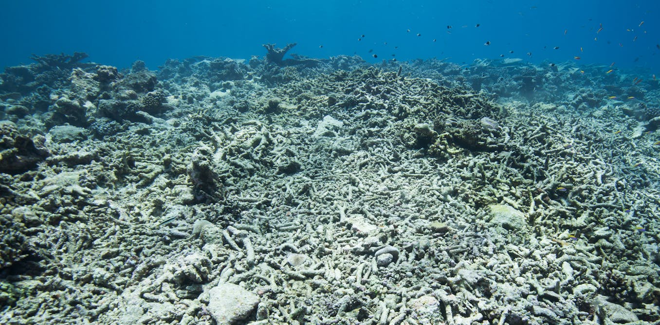 Climate tipping points are close: scientists urge radical action before its too late 3 file 20251106 56 k32tmh