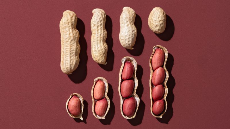 Science got peanut allergies all wrong until the scientific method got it right - CNN 2 gettyimages 1297572018