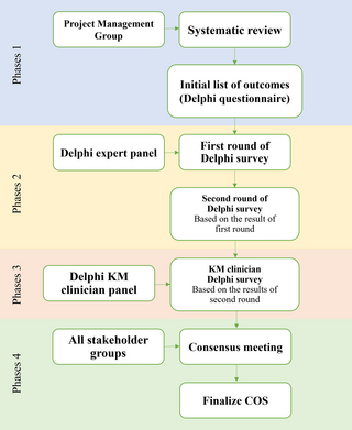 Development of the core outcome set for herbal medicine treatment of lumbar disc herniation (COS-HM-LDH): A study protocol for a systematic review and a delphi survey 1 image 9
