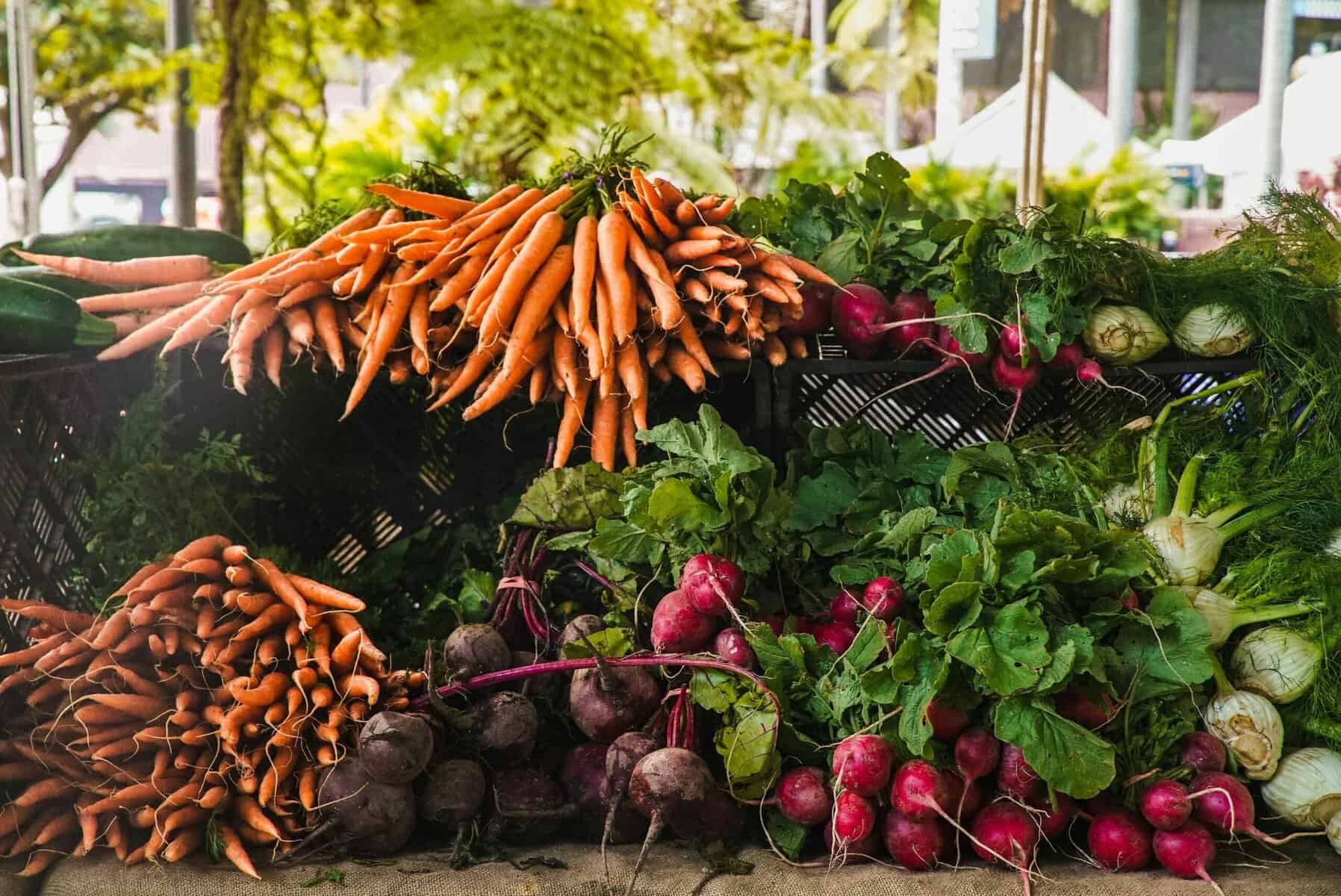 Declaration Calling on Countries to Adopt Plant-Based Action Plans Will Be Presented at COP30 This Weekend - vegconomist - the vegan business magazine 1 pexels wendywei market vegetables stock scaled 1