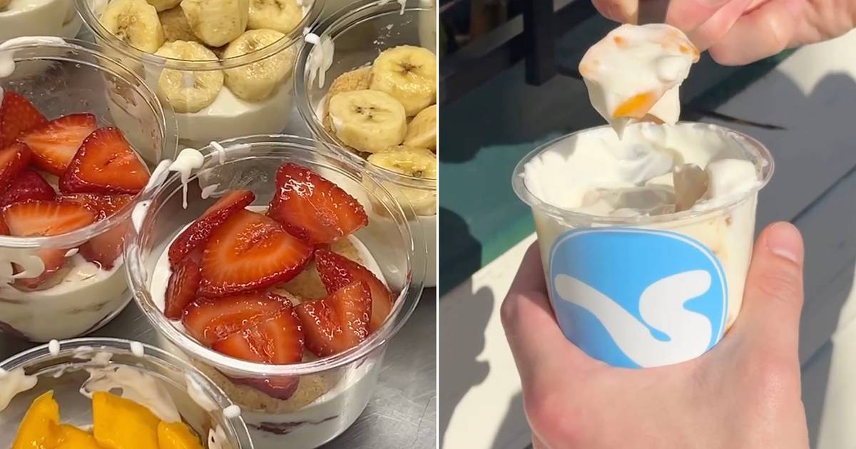 20251204 sawft pudding toronto