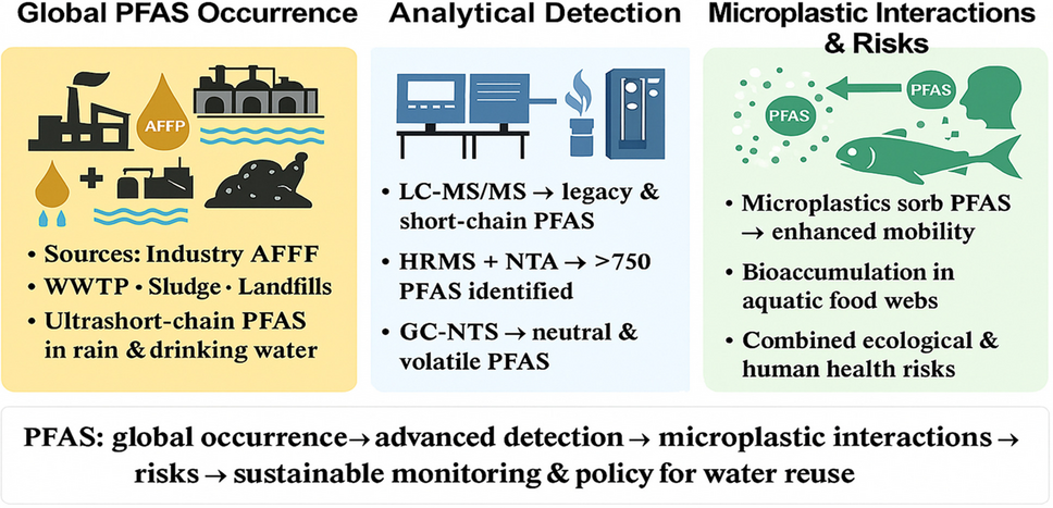 Analysis and fate of per- and polyfluoroalkyl substances (PFAS) in the global aquatic environment: perspectives and combined risks with microplastics 1 216 2025 6264 Figa HTML
