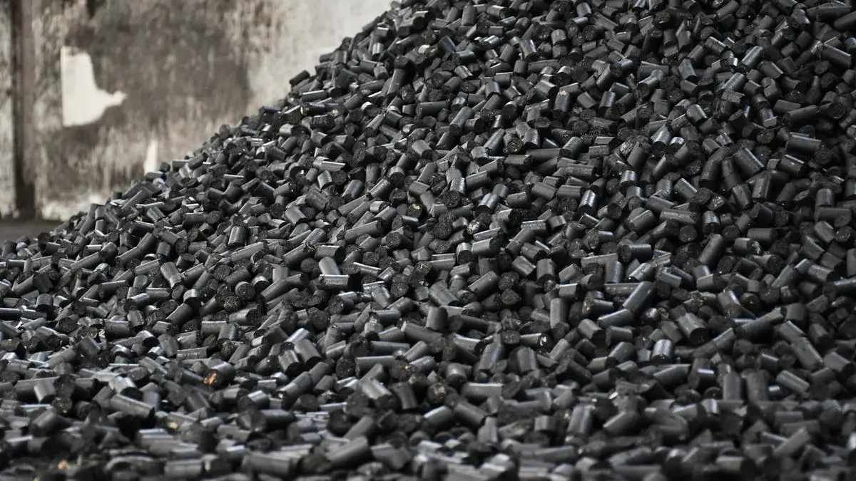 TSPLs circular biofuel ecosystem in Punjab helps reduce stubble burning 1 Bio pellets