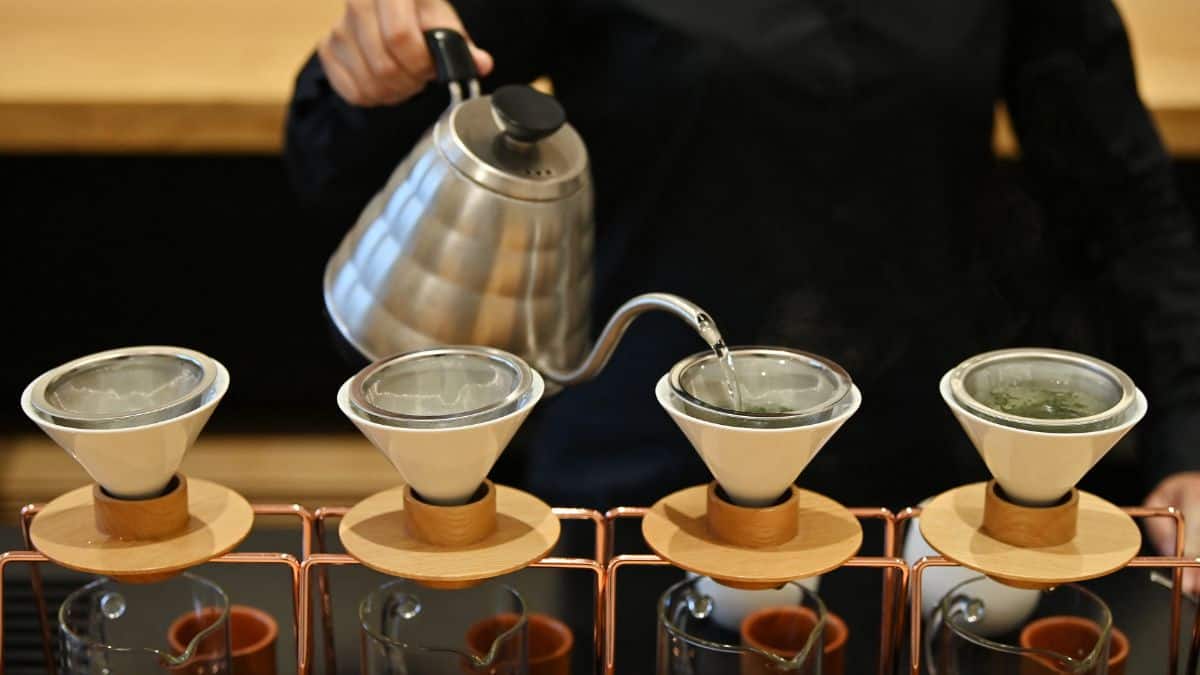 Whats driving the rise of Hojicha: Climate, cafes and culture 3 Untitled design 8 2025 12 3d05247b32de03ba1635f8d242106296