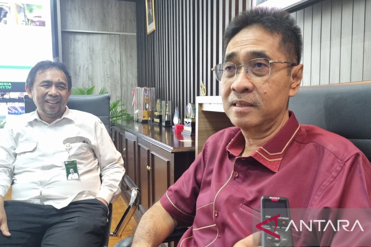 WhatsApp Image 2025 12 23 at 20.42.31