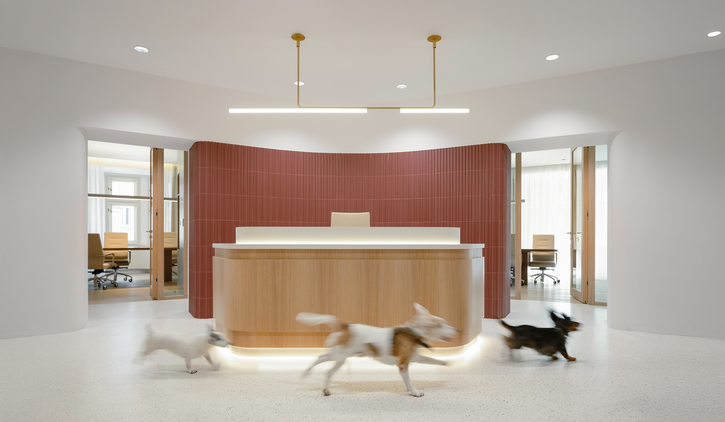 Canine Office Design: Flooring, Acoustics, and Sensory Zones 3 canine office design flooring acoustics