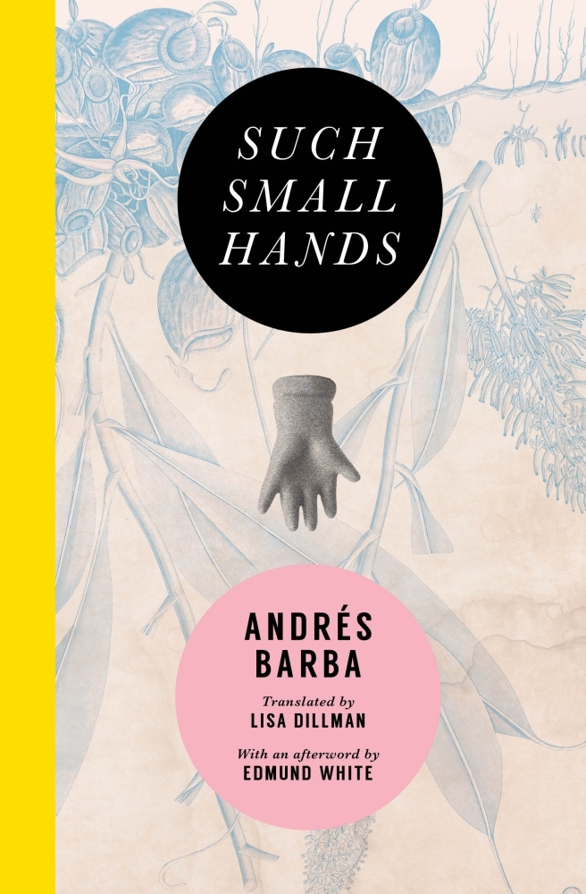 One, Another; Other, Alone: the Fiction of Andrs Barba 4 suchsmallhands