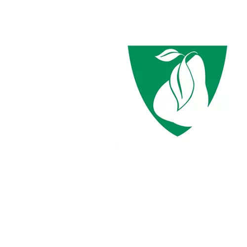 takeAction web talkBubble.png