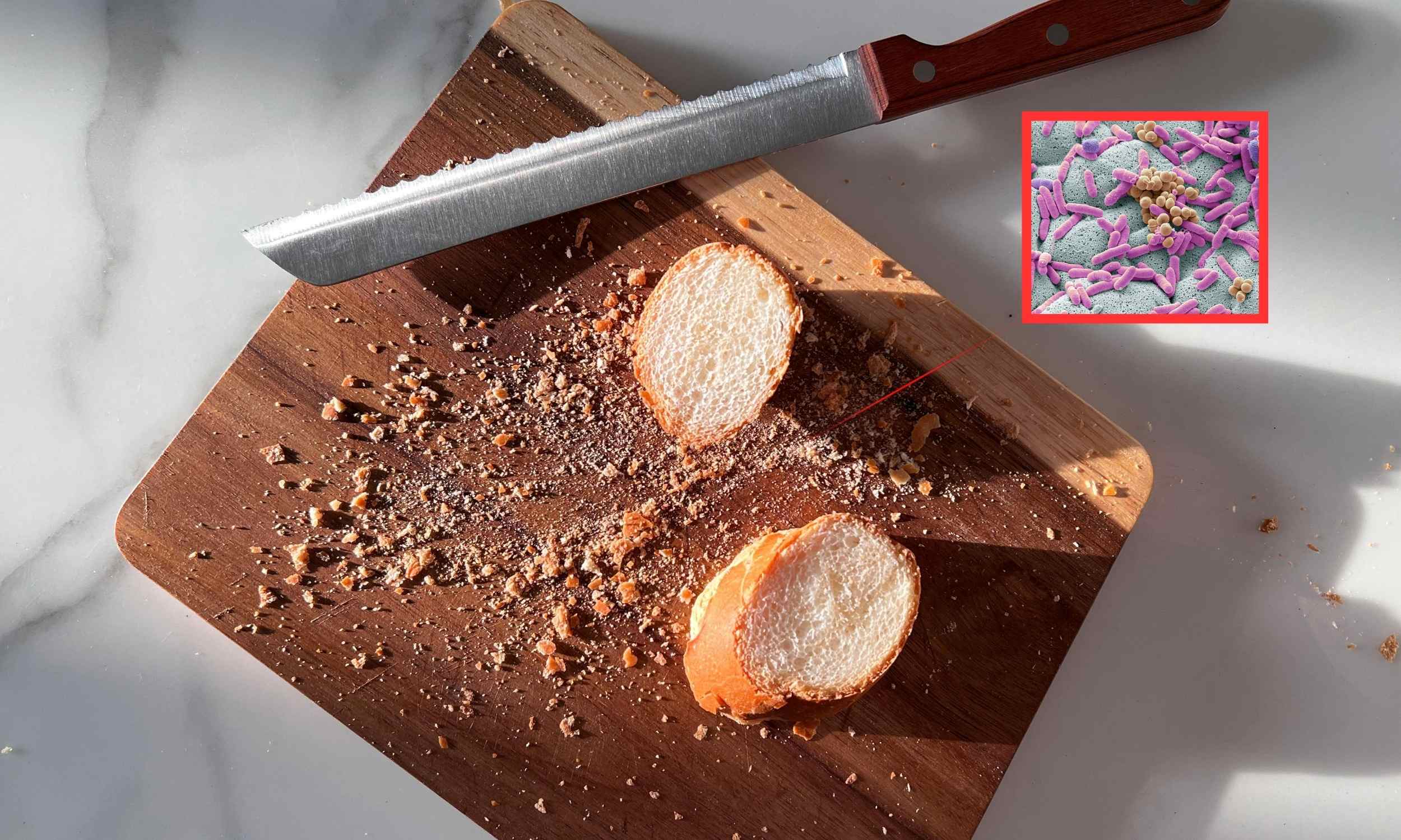 your chopping board harbouring gut bacteria