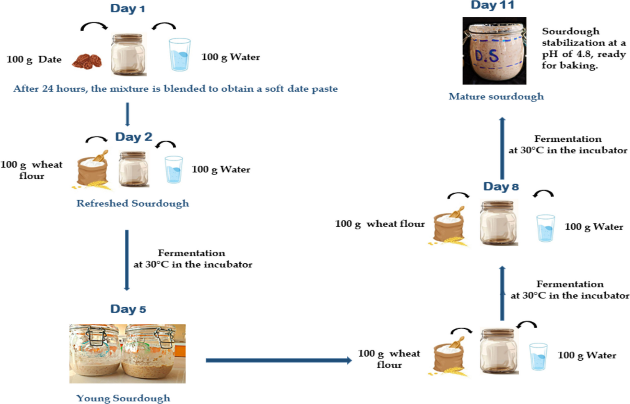 44447 2025 121 Fig1 HTML