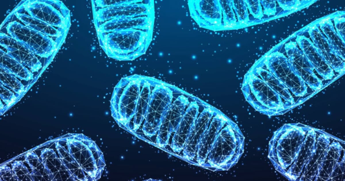 4DC2CJR5NRLTBMOODB53765LD4