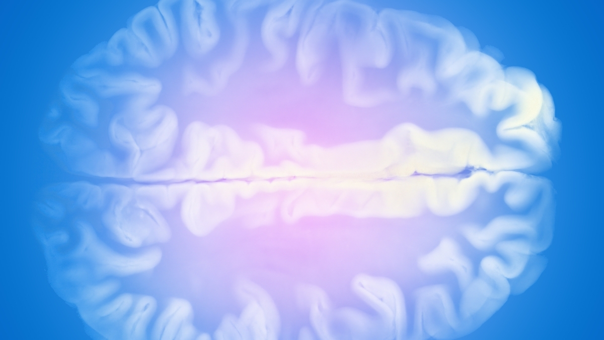 brain blue background header