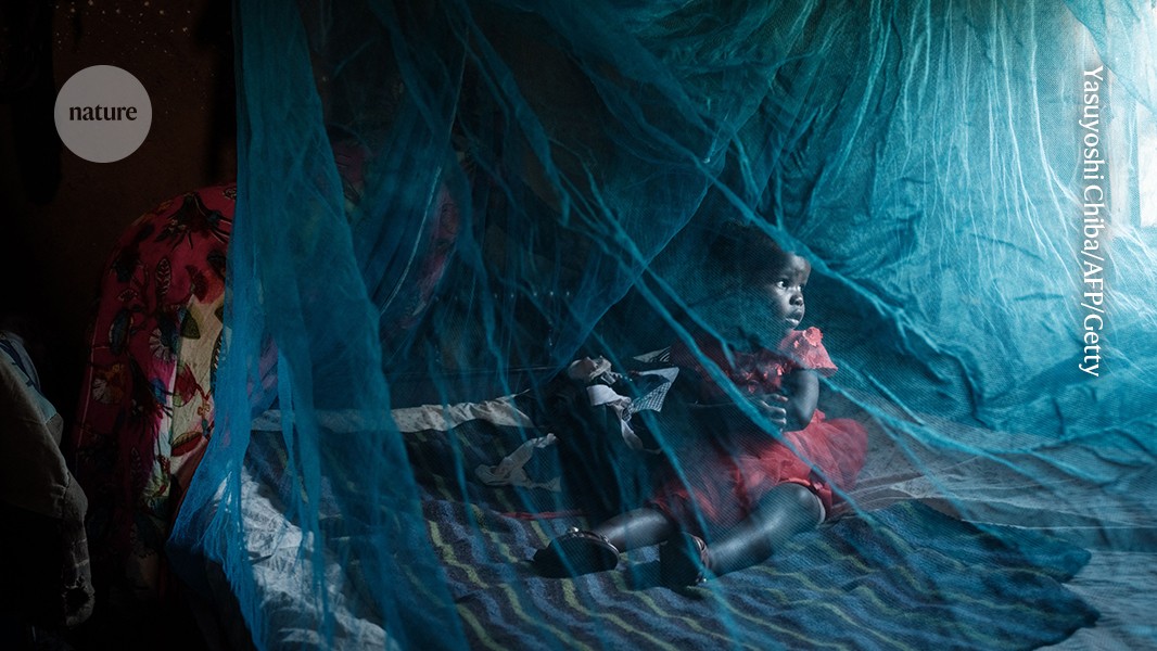 d41586 026 00073 2 51939180