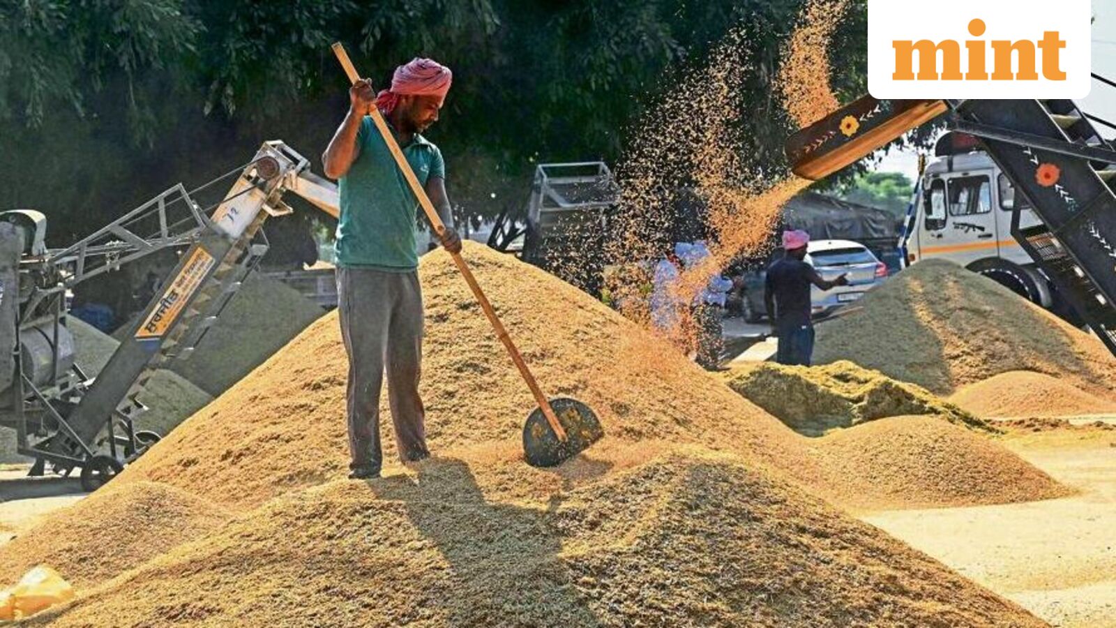 economy grain mint 1768726228443 1768726233004