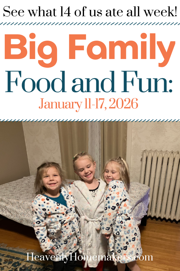 food and fun jan11