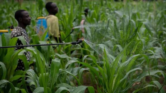 images 2026 01 15T075920.992