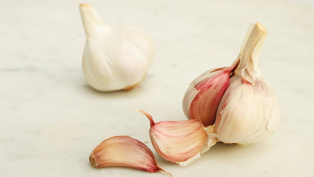 106457413 0 image m 21 1771345607109