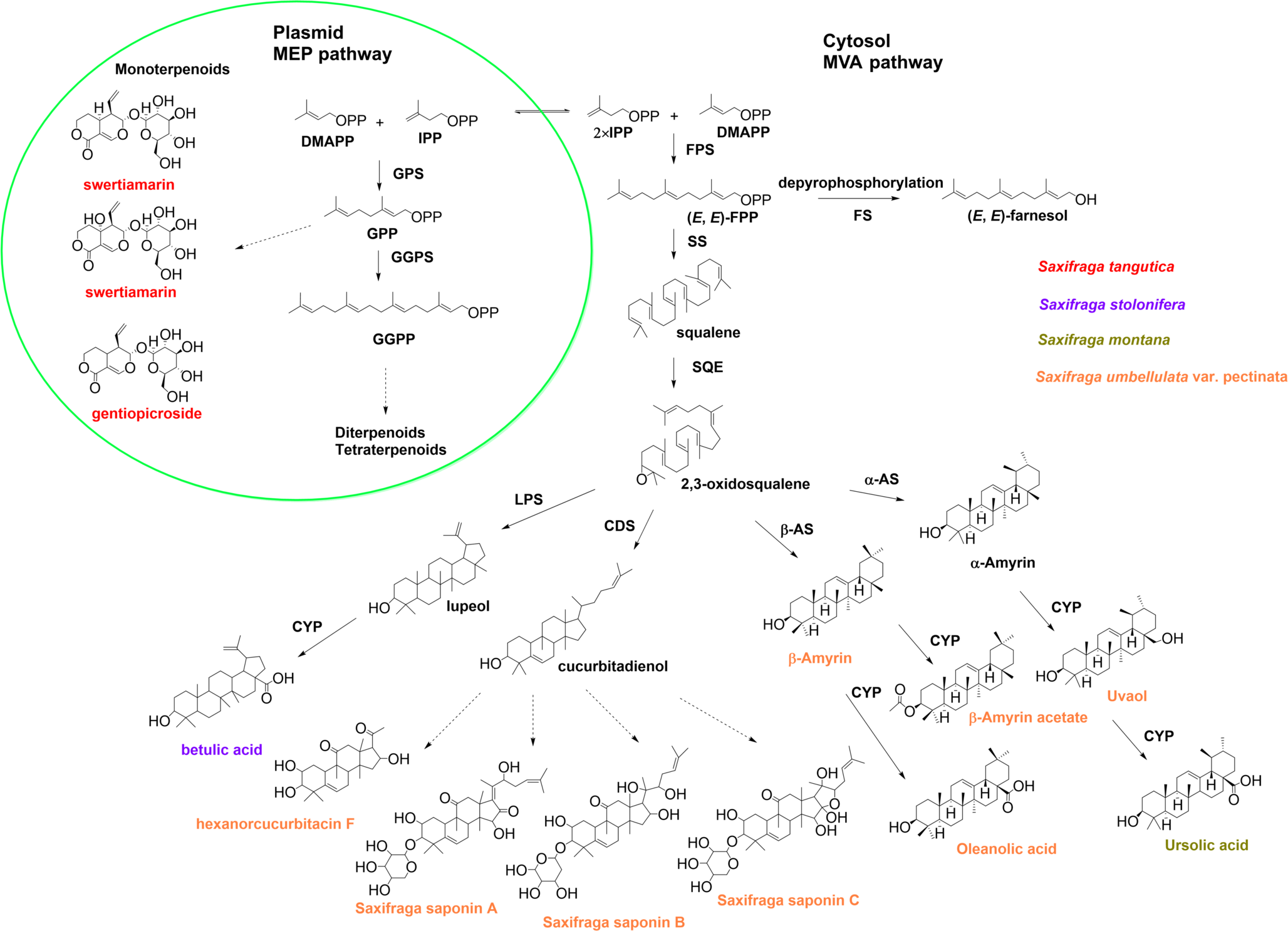 11103 2026 1687 Fig1 HTML