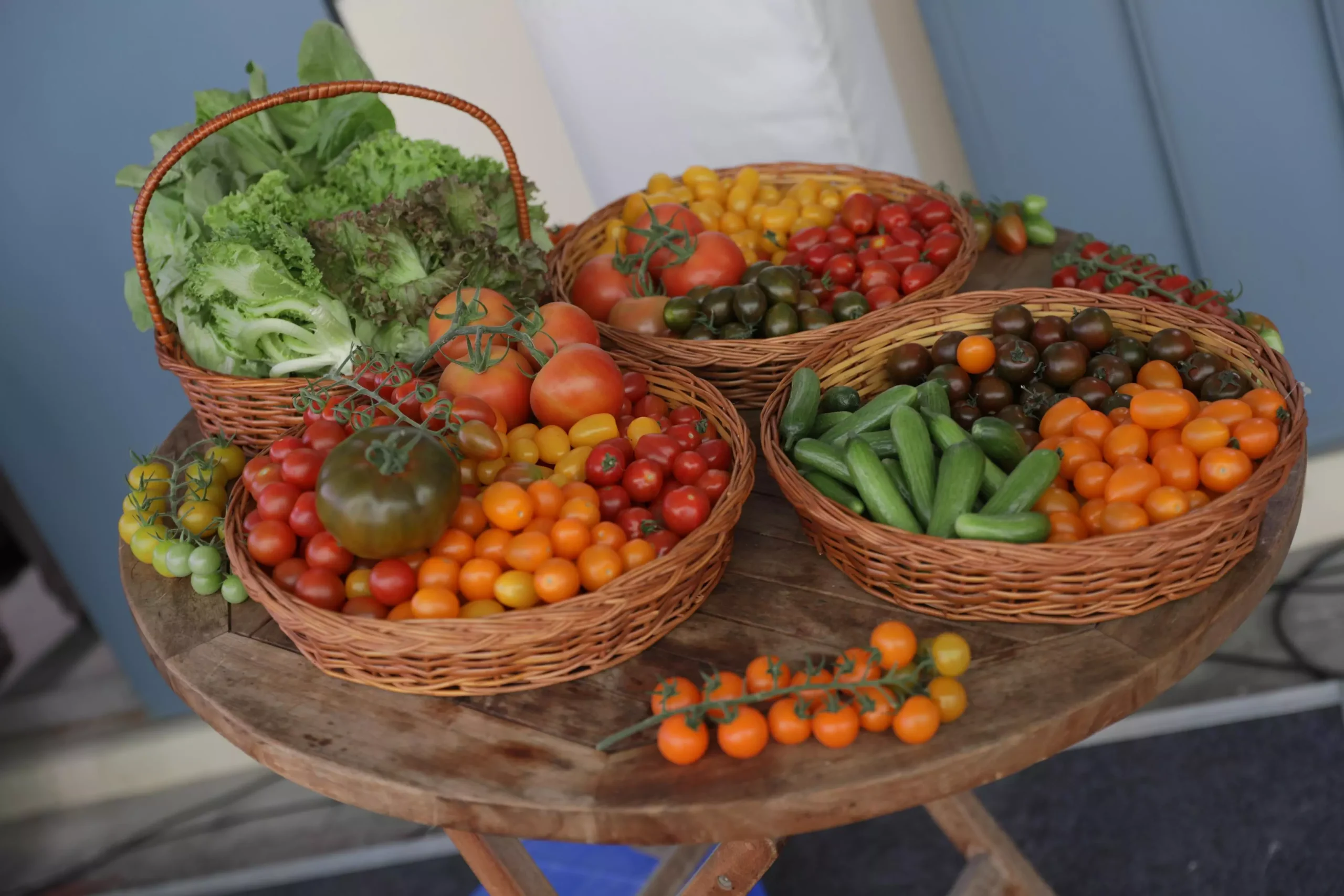 2016146 flavours of israel bengaluru 2 scaled