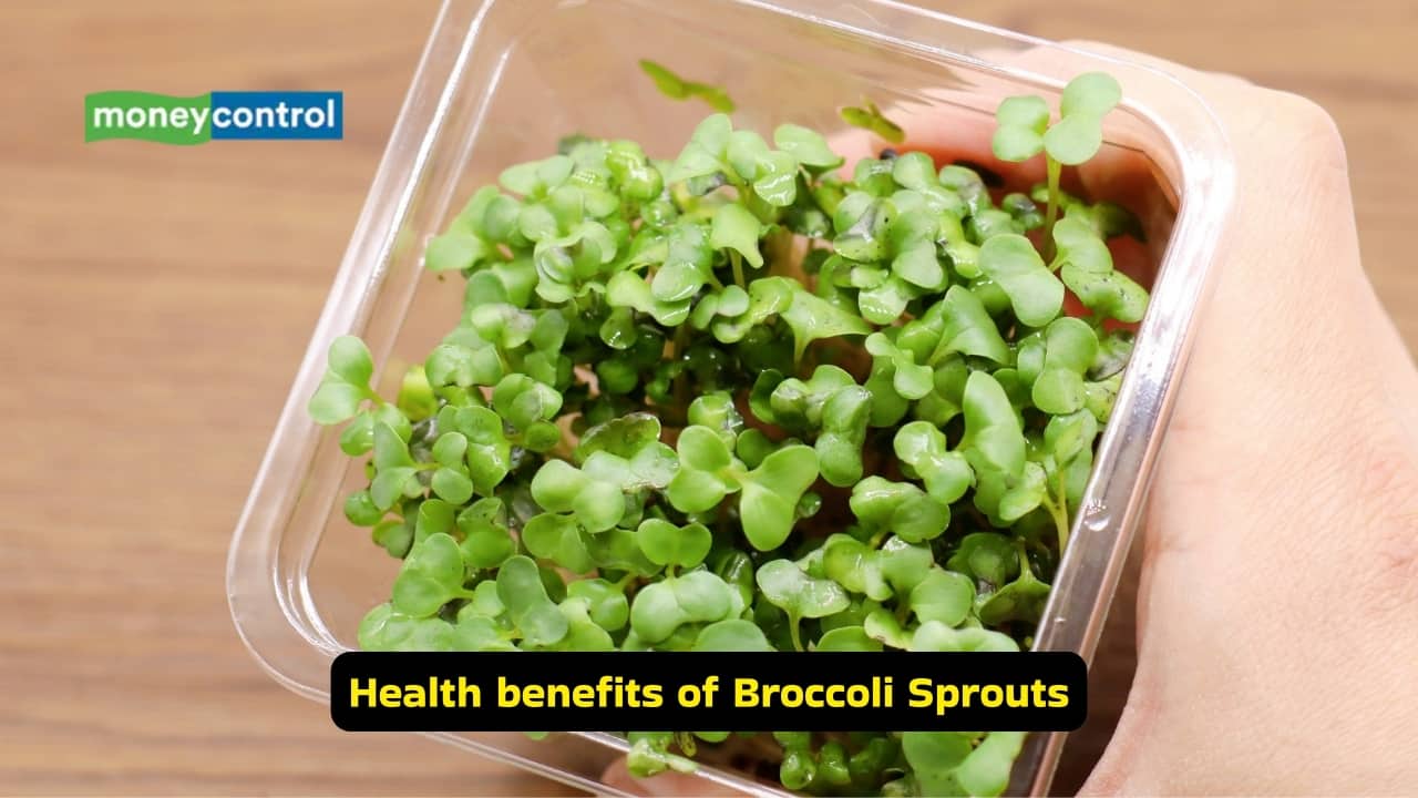 20260224105154 Health benefits of Broccoli Sprouts