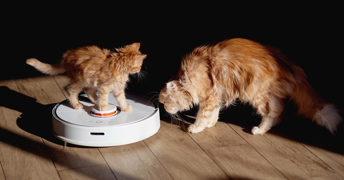 260211 pet hair vacuums kb main 616582