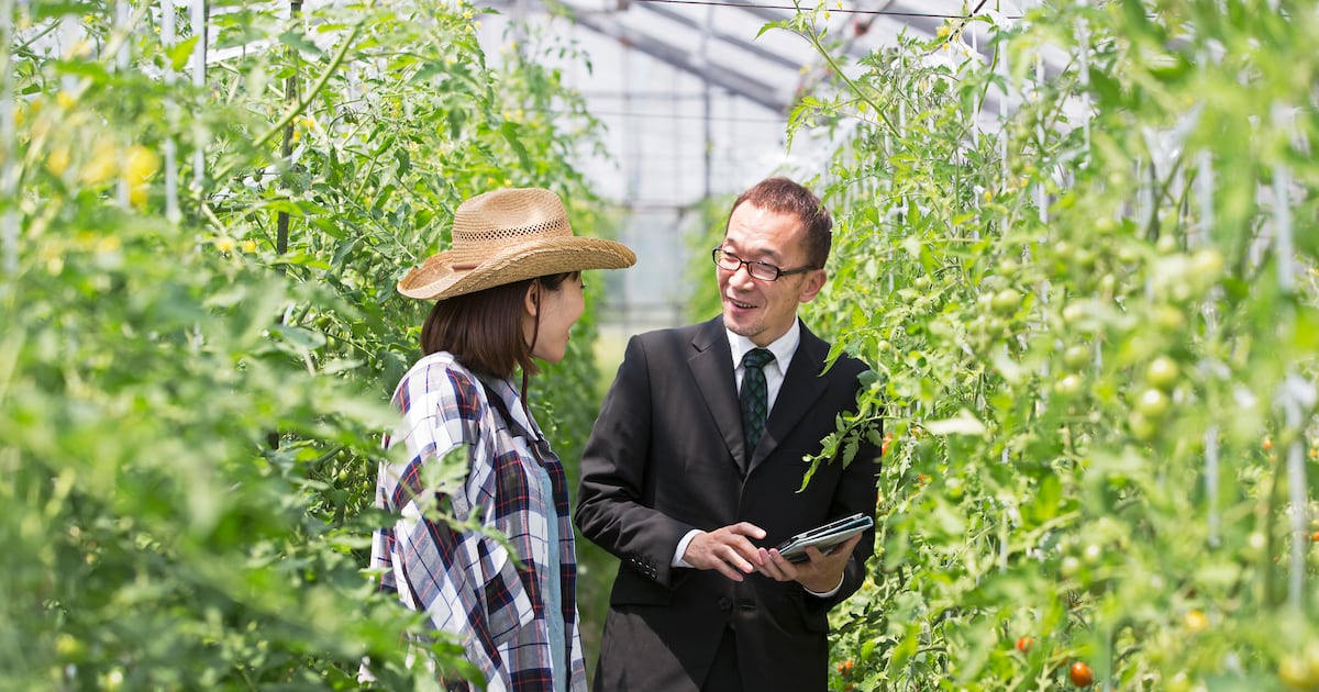 2WG4I3URE5DRJK47OTBV2SOGTA