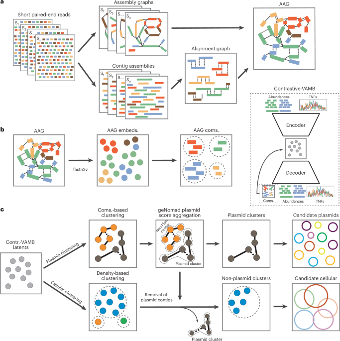 41587 2026 3005 Fig1 HTML