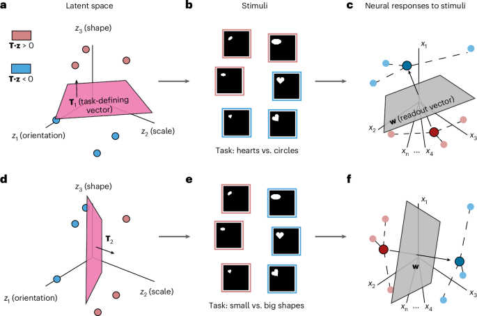41593 2025 2183 Fig1 HTML